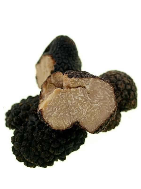 Τρούφα φρέσκια καλοκαιρινή ΔΙΡΦΥΣ