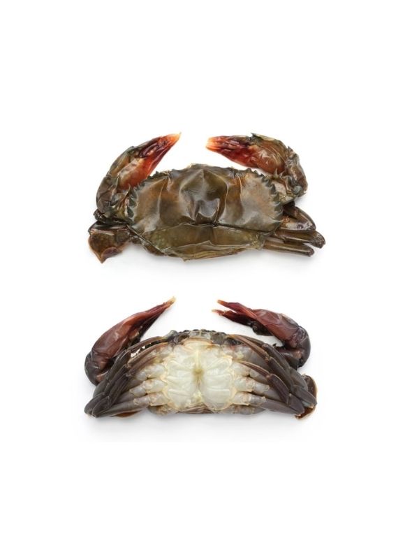 Soft shell crab hotel (18pcs/kg) 1kg