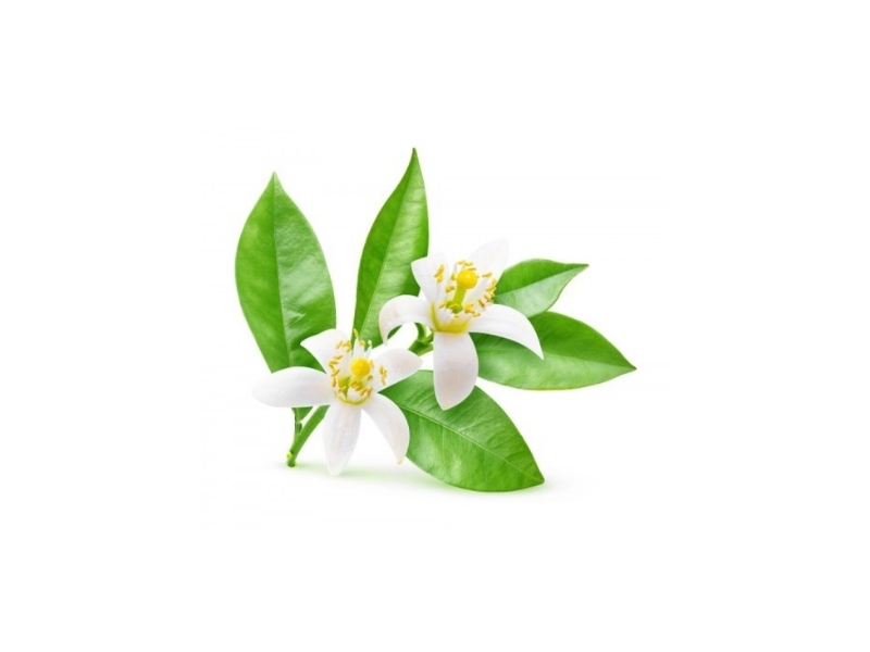 ΑΡΩΜΑ ΑΝΘΟΝΕΡΟ ΥΓΡΟ  1X500ml KENFOOD