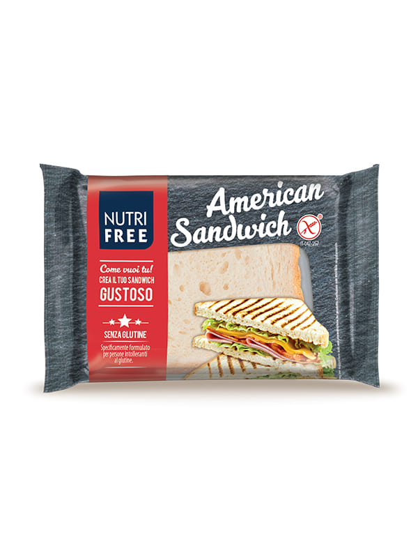 Ψωμί του τοστ gluten free 240g NT FOODS