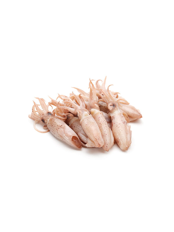 Καλαμάρι γόνος 80up 15% Ινδίας 12X1kg