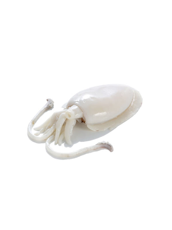 Σουπιά φιλέτο Κίνας IQF (500-1000gr) 10kg