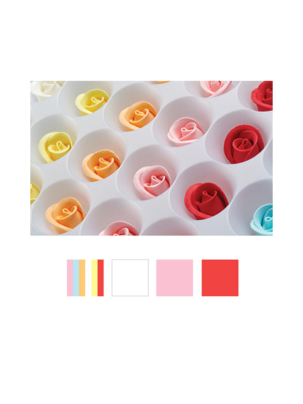 Σπέσιαλ διάφορα τριαντάφυλλα (1πακχ35τεμ)