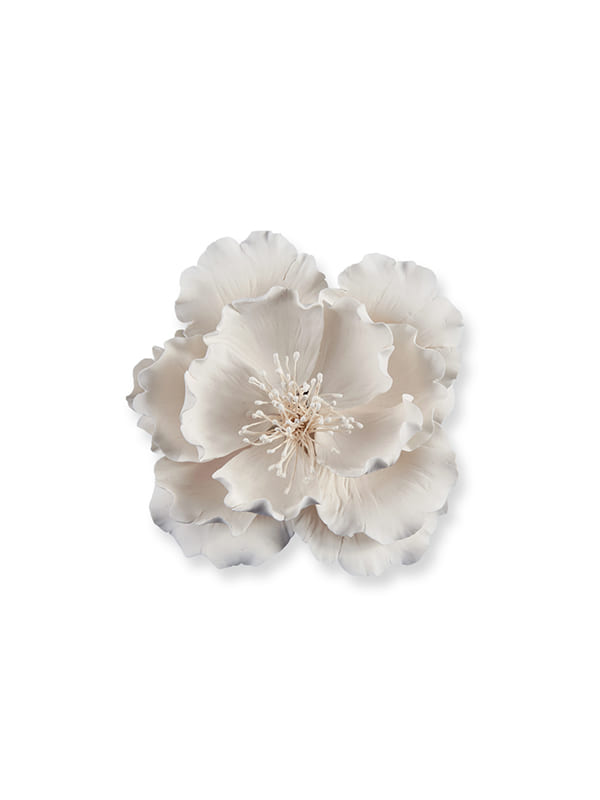 ΠΑΙΩΝΙΑ ΛΕΥΚΗ 20X(1πακX12ΤΕΜ)