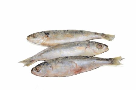Αθερίνα IQF 1kg