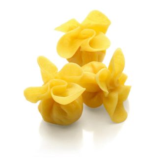 Canuti fagotti with gorgonzola PDO and nuts 3kg