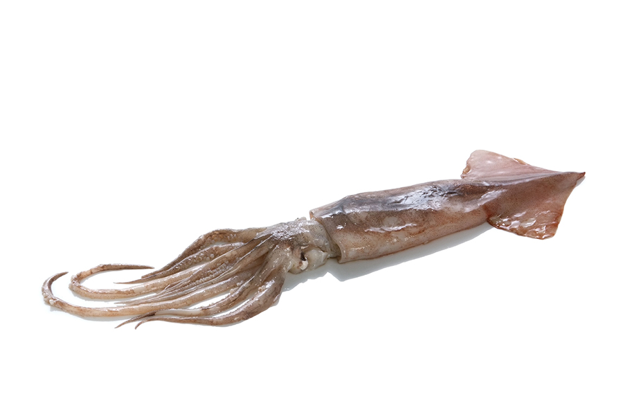 Θράψαλα Ν.Ζηλανδίας L 30kg