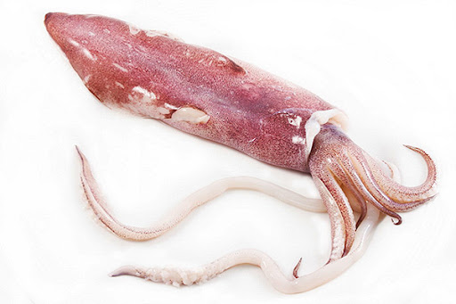 Καλαμάρι U3 Ινδίας 2kg