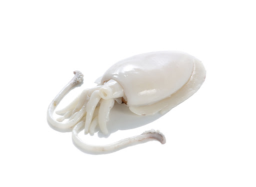 Σουπιά φιλέτο Κίνας IQF (500-1000gr) 10kg